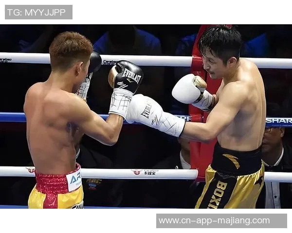 邹市明与方便的对决揭示了拳击与生活的深刻哲理与不屈精神